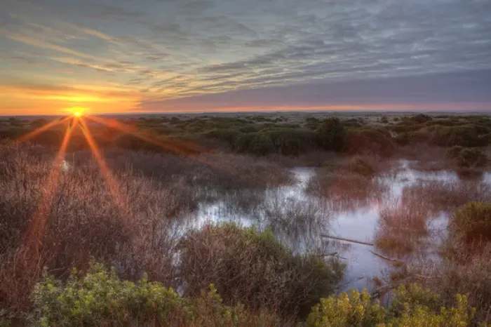 Framed Print : Sunset over wetlands at Ocean Shores. Washington, US Framed Print : Sunset over wetlands at Ocean Shores. Washington, US