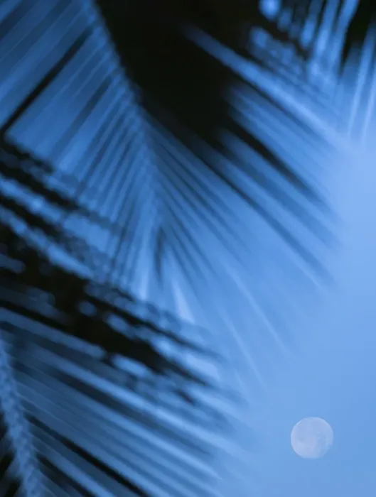 Framed Print : Supermoon along Hawaiian coast. Miloli i beach, Hawaii Framed Print : Supermoon along Hawaiian coast. Miloli i beach, Hawaii