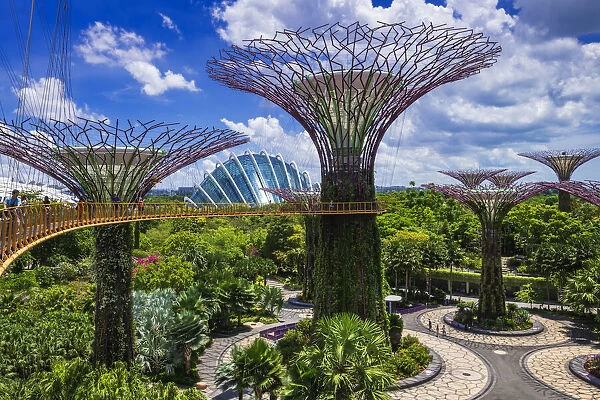 The Supertree Grove and Cloud Forest Dome from the OCBC Skyway, Gardens by the Bay