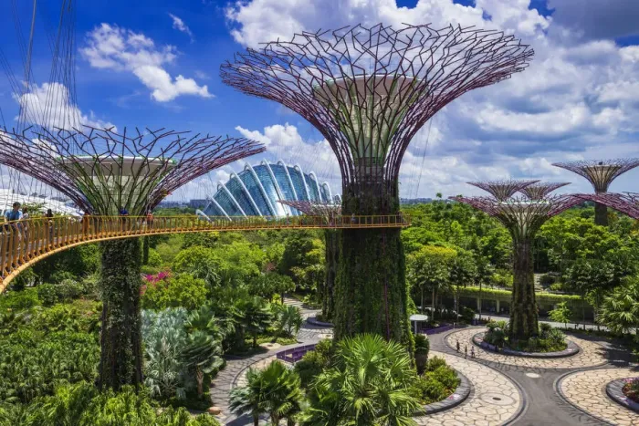 Framed Print : The Supertree Grove and Cloud Forest Dome from the OCBC Skyway, Gardens by the Bay Framed Print : The Supertree Grove and Cloud Forest Dome from the OCBC Skyway, Gardens by the Bay