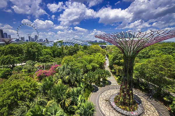 The Supertree Grove and downtown skyline from the OCBC Skyway at Gardens by the Bay