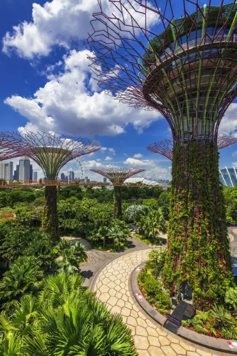 Framed Print : The Supertree Grove from the OCBC Skyway at Gardens by the Bay, Singapore Framed Print : The Supertree Grove from the OCBC Skyway at Gardens by the Bay, Singapore