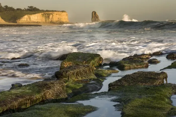 Framed Print : Surf on four-mile beach. Santa Cruz coast, California, US