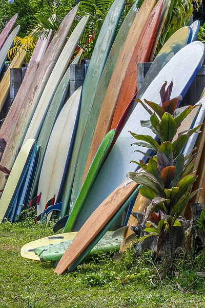 Surfboards and bodyboards, Kauai, Hawaii, USA