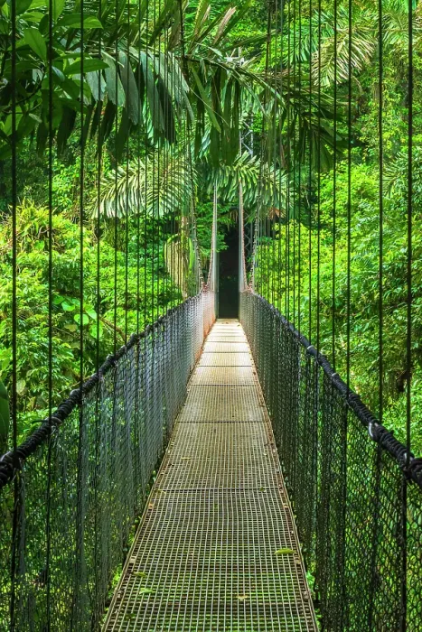 Framed Print : Suspension bridge at Mistico Hanging Bridges, Alajuela Province, Costa Rica