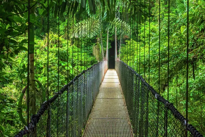 Framed Print : Suspension bridge at Mistico Hanging Bridges, Alajuela Province, Costa Rica. (MR)