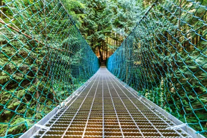 Framed Print : Suspension bridge on Vancouver Island, B. C Framed Print : Suspension bridge on Vancouver Island, B. C