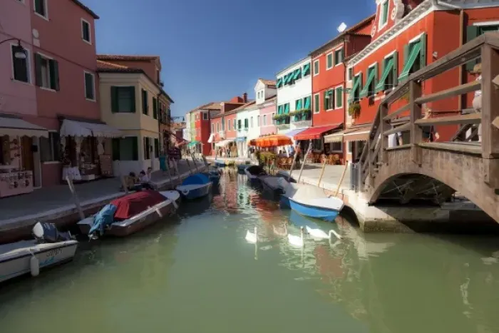 Framed Print : Swans in canal, Burano Island, Lagoon Tour near Venice, Italy, Europe Framed Print : Swans in canal, Burano Island, Lagoon Tour near Venice, Italy, Europe