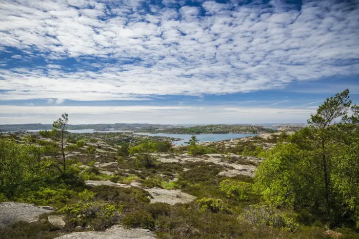 Framed Print : Sweden, Bohuslan, Fjallbacka, the Vetteberget cliff Framed Print : Sweden, Bohuslan, Fjallbacka, the Vetteberget cliff