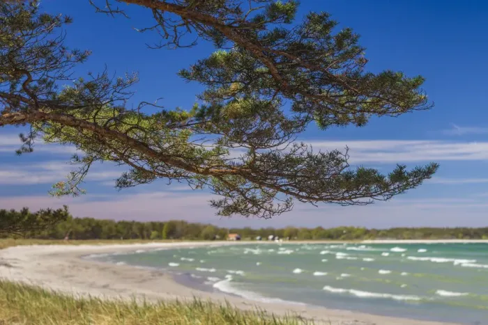 Framed Print : Sweden, Faro Island, Fifang, view of Ajkesvik Bay Framed Print : Sweden, Faro Island, Fifang, view of Ajkesvik Bay