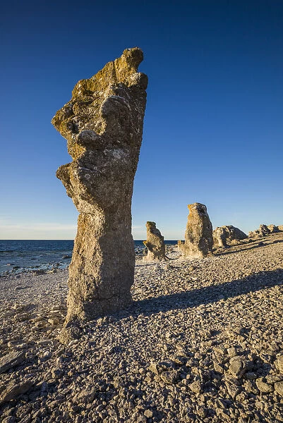 Sweden, Faro Island, Langhammars Area, Langhammar coastal limestone rauk rock, sunset