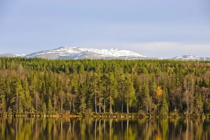 Framed Print : Sweden, Jamtland, Djupsjon. View of Djupsjon (Deep Lake) and surrounding Boreal forest Framed Print : Sweden, Jamtland, Djupsjon. View of Djupsjon (Deep Lake) and surrounding Boreal forest