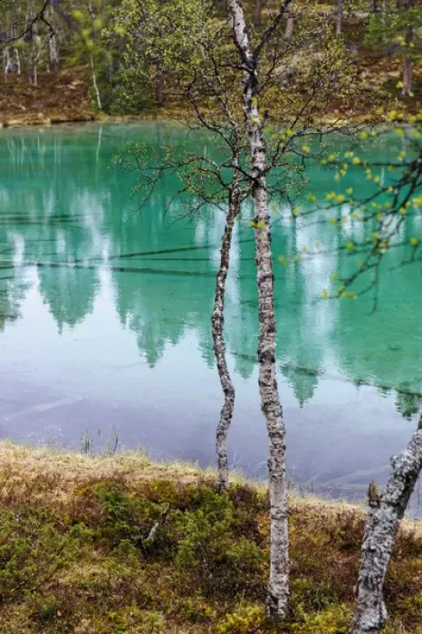 Framed Print : Sweden, Jamtland, Valadalen Nature Preserve. The emerald green water of Blanktjarnarna