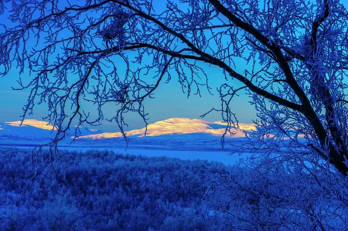 Framed Print : Sweden, Norrbotten, Abisko. Winter light over frosted birch forest and Torne Lake Framed Print : Sweden, Norrbotten, Abisko. Winter light over frosted birch forest and Torne Lake