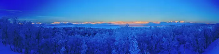 Framed Print : Sweden, Norrbotten, Abisko. Winter light over frosted birch forest and Torne Lake Framed Print : Sweden, Norrbotten, Abisko. Winter light over frosted birch forest and Torne Lake