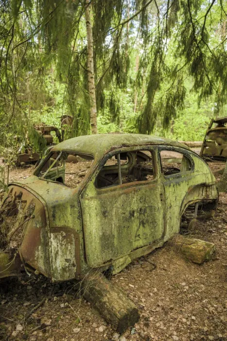 Framed Print : Sweden, Smaland, Ryd, Kyrko Mosse Car Cemetery, former junkyard now pubic park Framed Print : Sweden, Smaland, Ryd, Kyrko Mosse Car Cemetery, former junkyard now pubic park