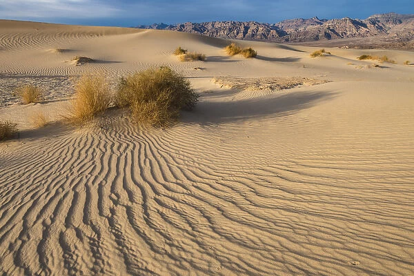 Sweeping vista of dunes, Death Valley National Park, California