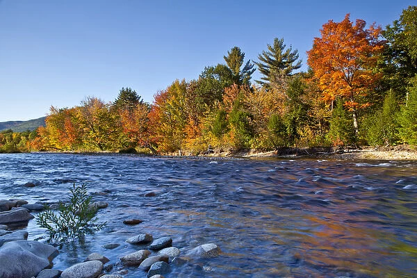 The Swift River in New Hampshires White Mountains. Albany, New Hampshire. Fall