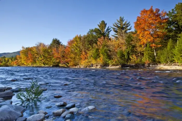 Framed Print : The Swift River in New Hampshires White Mountains. Albany, New Hampshire. Fall Framed Print : The Swift River in New Hampshires White Mountains. Albany, New Hampshire. Fall