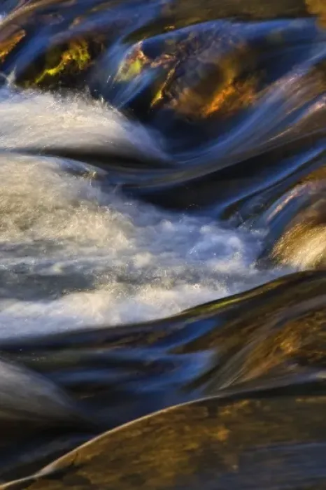 Framed Print : Swiftcurrent Creek at sunrise, Many Glacier area, Glacier National Park, Montana