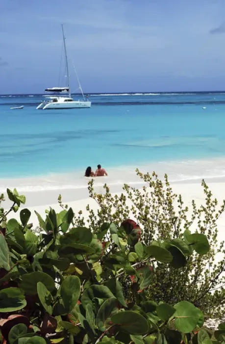 Framed Print : Swimming the waters of Prickly Pear Island with Festiva Sailing Vacations (MR) Framed Print : Swimming the waters of Prickly Pear Island with Festiva Sailing Vacations (MR)