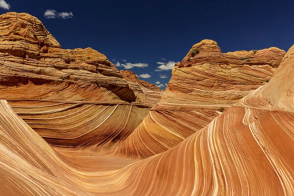 Swirling sandstone of The Wave in the Vermillion Cliffs Wilderness, Arizona, USA
