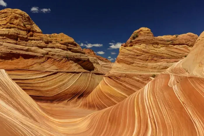 Framed Print : Swirling sandstone of The Wave in the Vermillion Cliffs Wilderness, Arizona, USA Framed Print : Swirling sandstone of The Wave in the Vermillion Cliffs Wilderness, Arizona, USA