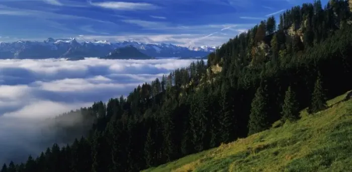 Framed Print : Swiss alps seen from Wildspitz peak, Unteraegeri, Zug, Switzerland