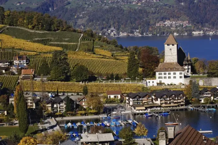 Framed Print : Swiss village and vineyard in autumn color, Interlaken, Switzerland along the Brienzwer Framed Print : Swiss village and vineyard in autumn color, Interlaken, Switzerland along the Brienzwer