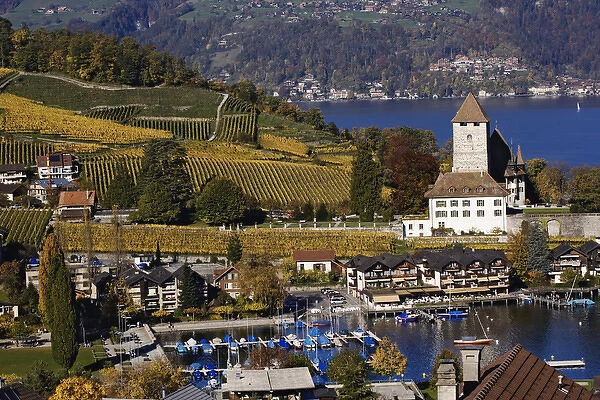 Swiss village and vineyard in autumn color, Interlaken, Switzerland along the Brienzwer