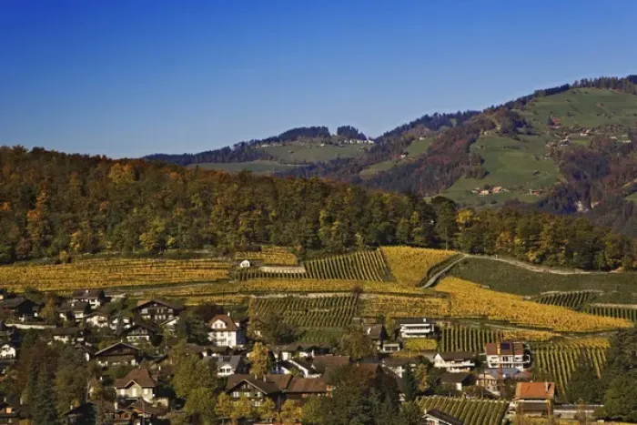 Framed Print : Swiss village and vineyards, Interlaken, Switzerland Framed Print : Swiss village and vineyards, Interlaken, Switzerland