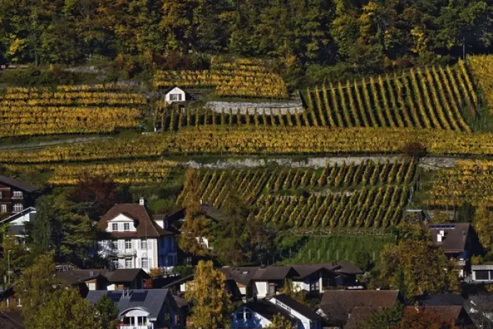 Framed Print : Swiss village and vineyards, Interlaken, Switzerland Framed Print : Swiss village and vineyards, Interlaken, Switzerland