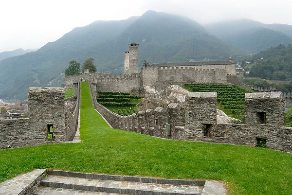 05. Switzerland, Bellinzona, Castelgrande vineyards and fortified walls 