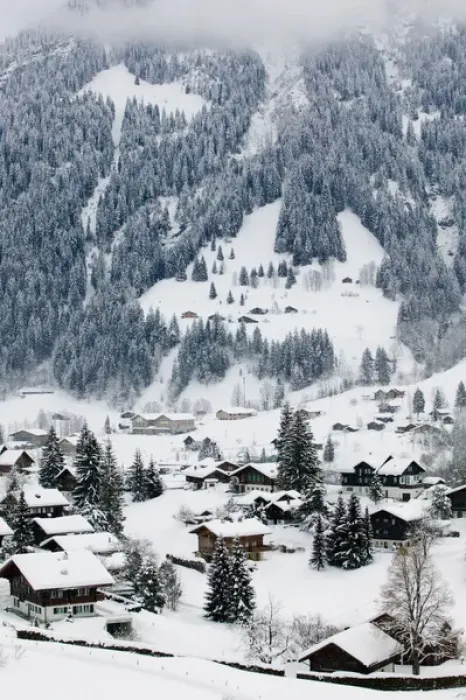Framed Print : SWITZERLAND-Bern-GRINDELWALD: Ski Chalets / Winter Framed Print : SWITZERLAND-Bern-GRINDELWALD: Ski Chalets / Winter