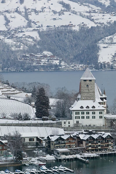 SWITZERLAND-Bern-SPIEZ: Town Castle (13th century) & Lake Thun  /  Winter