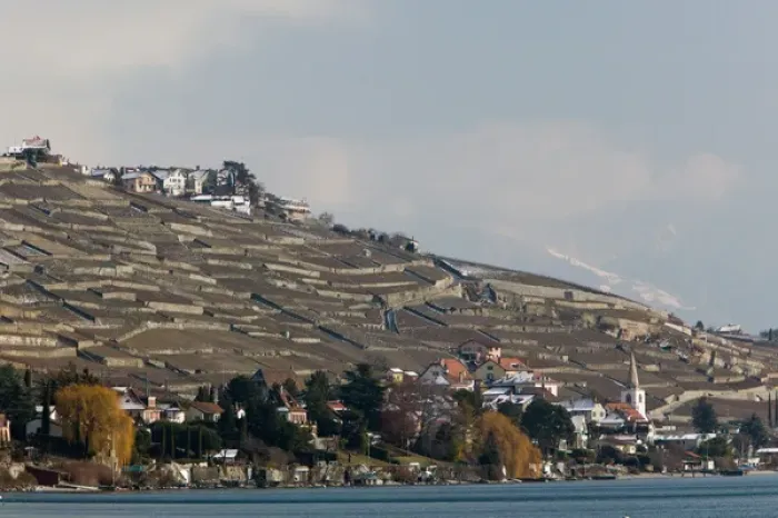 Framed Print : SWITZERLAND-(Vaud)-Swiss Riviera-CULLY: Hillsides above CULLY  /  Winter Shore of Lake