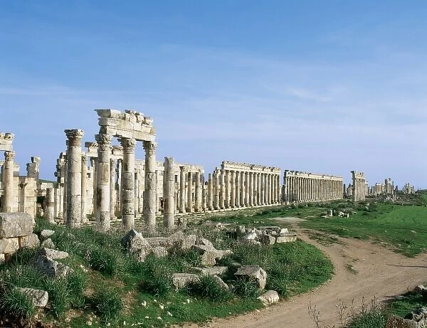 SYRIA. APAMEA (Afamia). Colonnade in Cardo Maximus Avenue