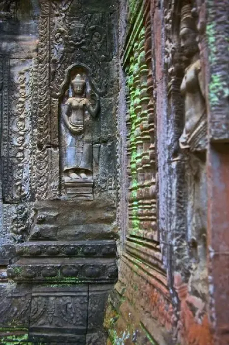 Framed Print : Ta Prohm Temple, Siem Reap Province, Cambodia Framed Print : Ta Prohm Temple, Siem Reap Province, Cambodia