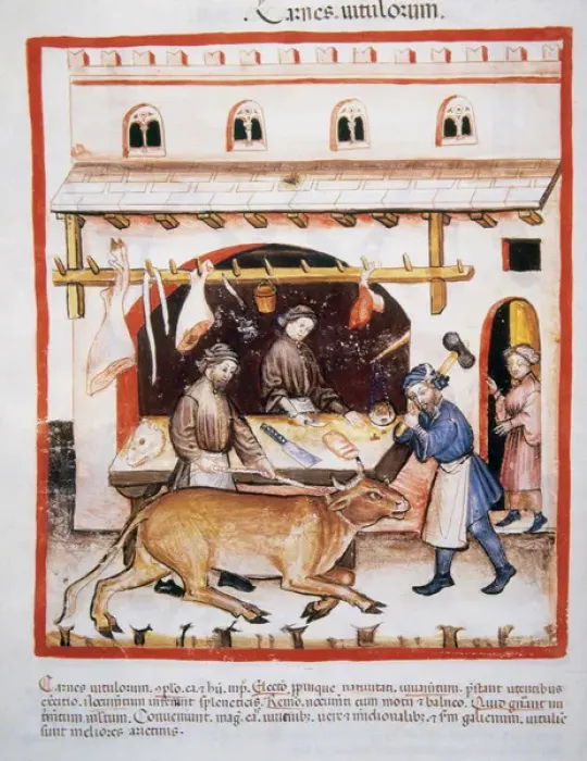 Framed Print : Tacuinum Sanitatis. Medieval Health Handbook, dated before 1400, based on observations Framed Print : Tacuinum Sanitatis. Medieval Health Handbook, dated before 1400, based on observations