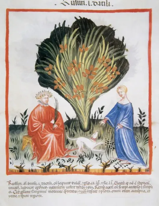 Framed Print : Tacuinum Sanitatis. Medieval Health Handbook, dated before 1400, based on observations Framed Print : Tacuinum Sanitatis. Medieval Health Handbook, dated before 1400, based on observations