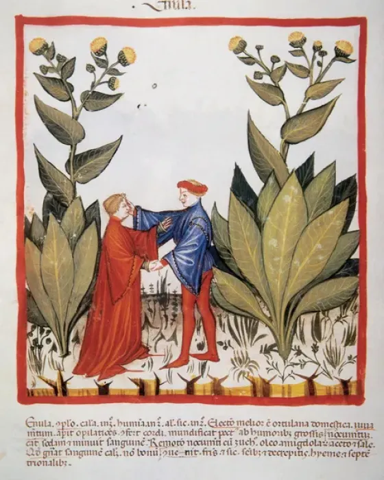 Framed Print : Tacuinum Sanitatis. Medieval Health Handbook, dated before 1400, based on observations Framed Print : Tacuinum Sanitatis. Medieval Health Handbook, dated before 1400, based on observations