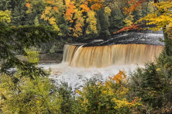 Framed Print : Tahquamenon Falls and fall colors, Upper Peninsula of Michigan Framed Print : Tahquamenon Falls and fall colors, Upper Peninsula of Michigan