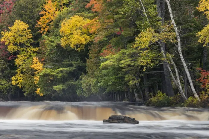 Framed Print : Tahquamenon River and fall colors, Upper Peninsula of Michigan Framed Print : Tahquamenon River and fall colors, Upper Peninsula of Michigan