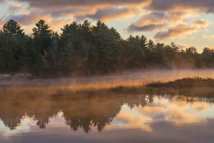 Framed Print : Tahquamenon River at sunrise, near Paradise, Michigan, Upper Peninsula of Michigan