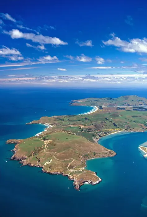 Framed Print : Taiaroa Head, Otago Peninsula and entrance to Otago Harbour, near Dunedin Framed Print : Taiaroa Head, Otago Peninsula and entrance to Otago Harbour, near Dunedin