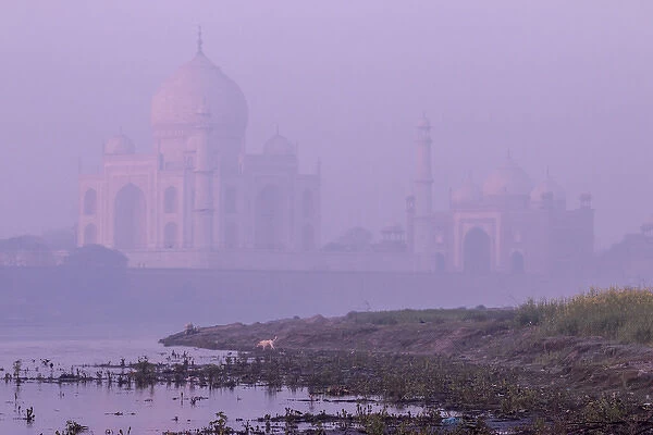 Taj Mahal in morning mist. Agra. India