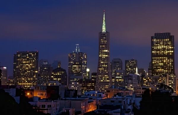 Taken from Coit Tower on Telegraph Hill, the city lights of San Francisco, California, at twilight