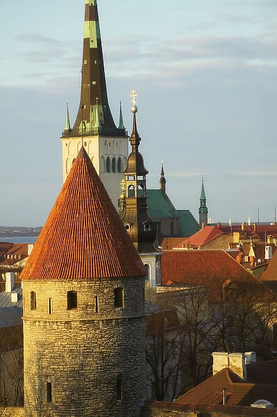 Tallinn cityscape dominated by St. Olafs Church and city wall towers, Estonia
