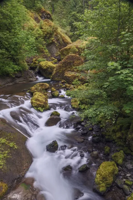 Framed Print : Tanner Creek, Columbia River Gorge, Oregon Framed Print : Tanner Creek, Columbia River Gorge, Oregon