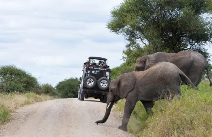 Framed Print : Tanzania Africa Tanangire National Park with safari vehicle with tourists enjoying